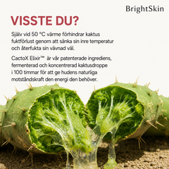 Brightskin V-Lift™ – kylande ansiktsband för en mer definierad käklinje, 4-pack